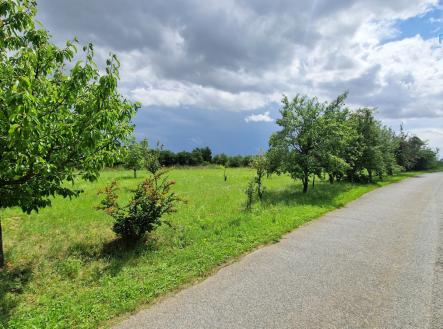 Prodej pozemku pro bydlení, 3 572 m²