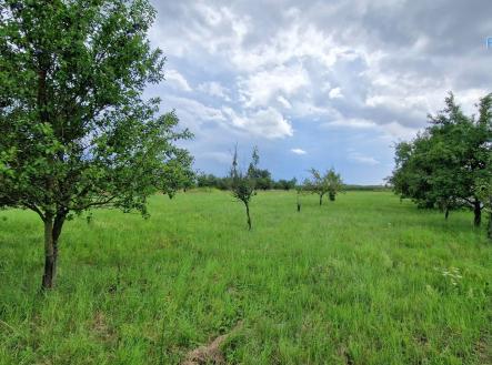 Prodej pozemku pro bydlení, 3 572 m²