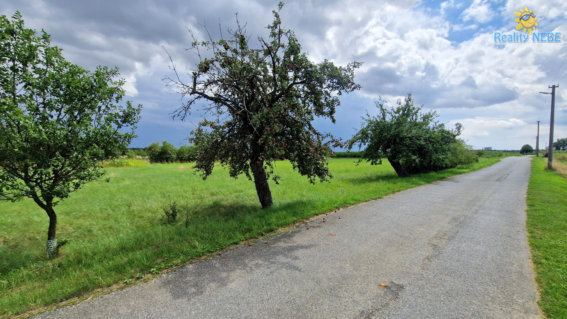 Prodej pozemku, 3572 m2, Rešice - Kordula