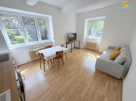 Prodej bytu, 2+kk, 42 m²