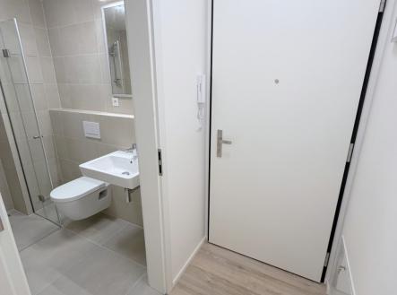 Pronájem bytu, 1+kk, 22 m²