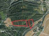 Prodej pozemku, les, 49 480 m²