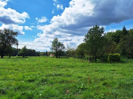 Prodej pozemku pro bydlení, 3 711 m²