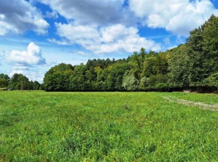 Prodej pozemku pro bydlení, 3 711 m²