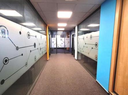 Pronájem kanceláře, 323 m²