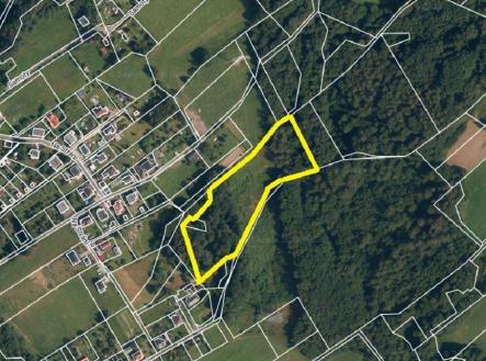 Prodej pozemku, les, 12 501 m²