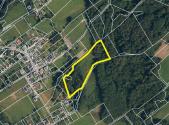 Prodej pozemku, les, 12 501 m²