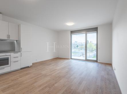 Pronájem bytu, 1+kk, 47 m²