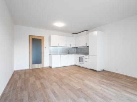 Pronájem bytu, 1+kk, 47 m²