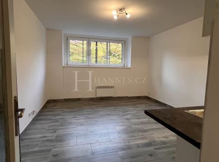 Pronájem bytu, 1+kk, 34 m²