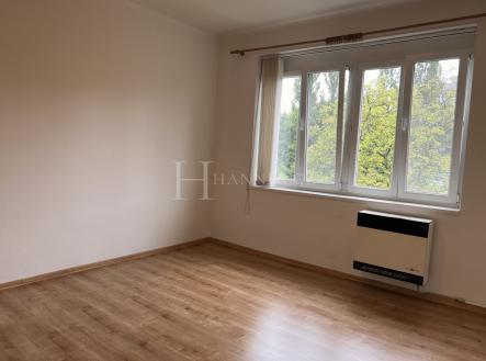 Pronájem bytu, 1+kk, 31 m²