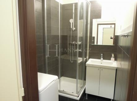 Pronájem bytu, 2+1, 55 m²