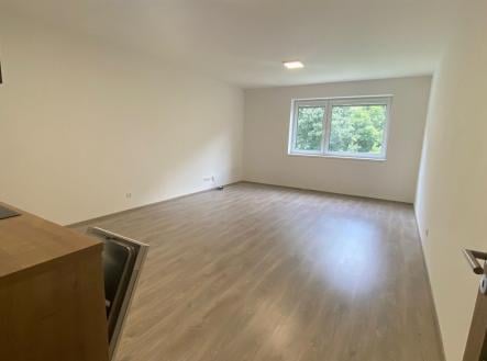 Pronájem bytu, 1+kk, 36 m²