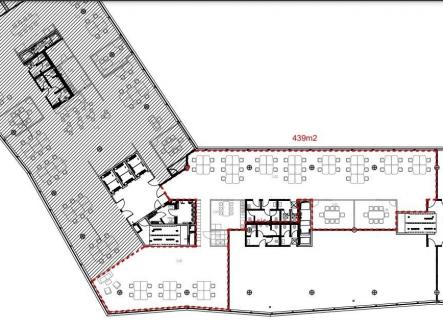 Pronájem - kanceláře, 439 m²