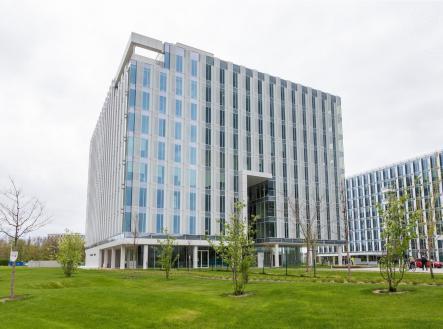 Pronájem kanceláře, 50 m²