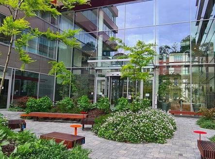 Pronájem kanceláře, 413 m²