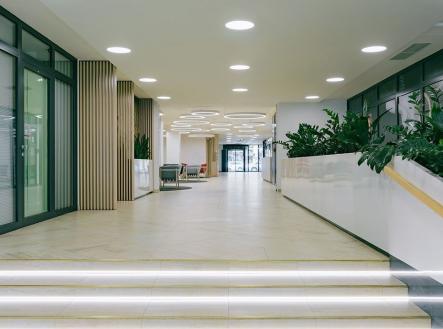 Pronájem - kanceláře, 532 m²