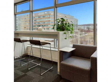 Pronájem kanceláře, 50 m²