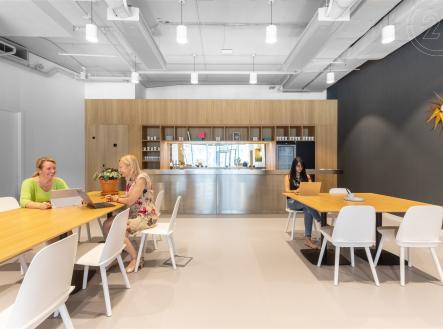 Pronájem kanceláře, 50 m²