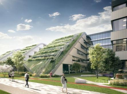 Pronájem kanceláře, 275 m²