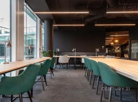 Pronájem kanceláře, 449 m²