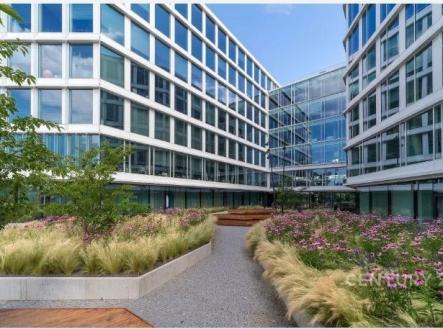 Pronájem kanceláře, 449 m²