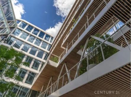 Pronájem kanceláře, 150 m²