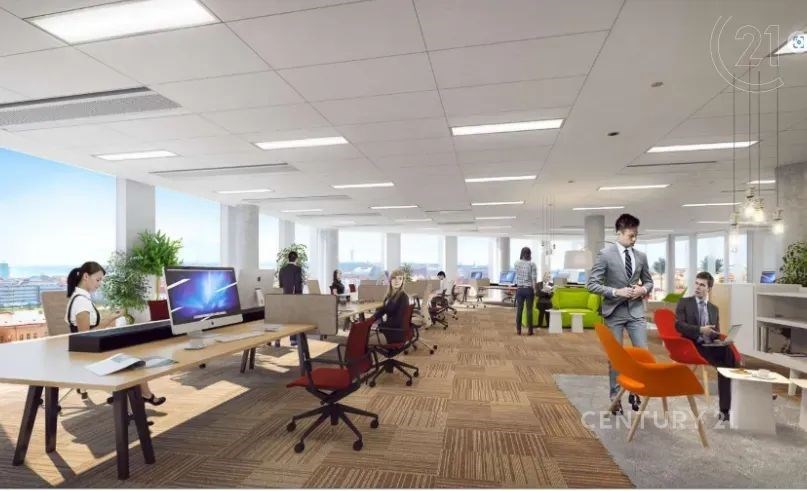 kancelář s koberec, televize, drop strop, a přirozené světlo