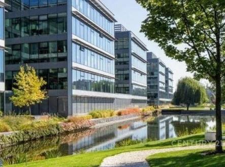 Pronájem kanceláře, 280 m²