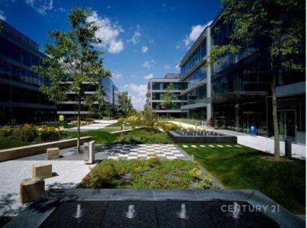 Pronájem kanceláře, 280 m²