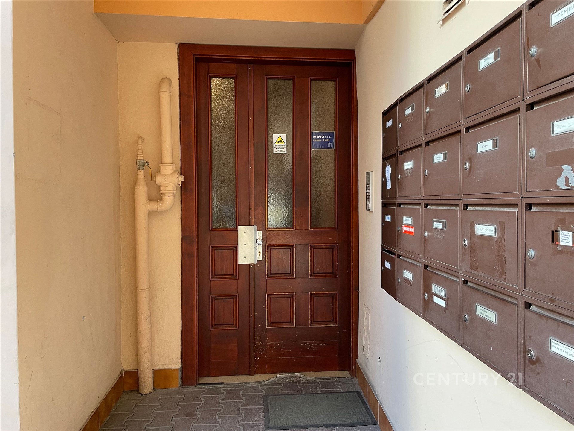 Fotku se nepodařilo načíst.