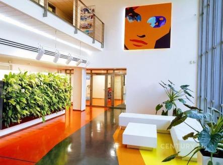 Pronájem kanceláře, 250 m²