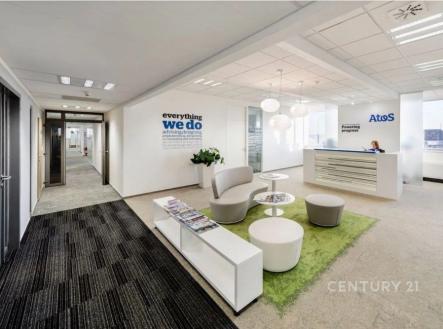 Pronájem kanceláře, 250 m²