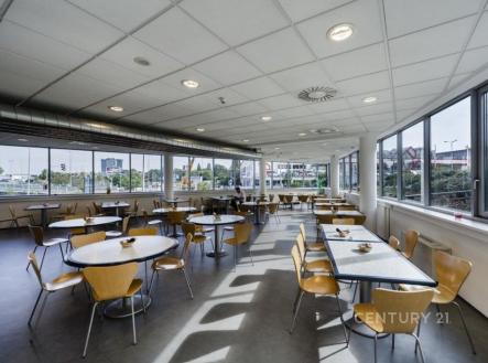 Pronájem kanceláře, 883 m²