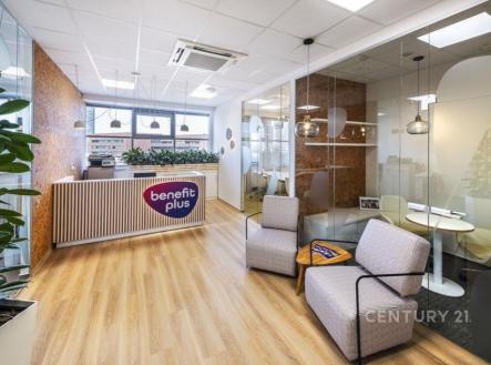 Pronájem kanceláře, 883 m²