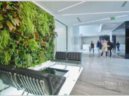 Pronájem kanceláře, 1 546 m²