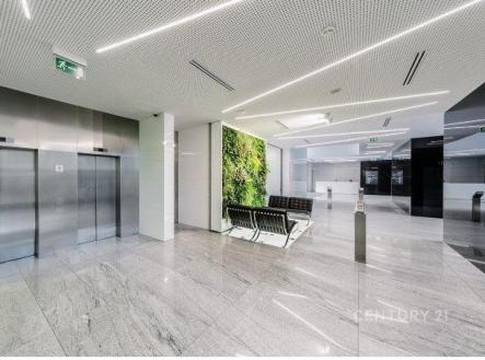 Pronájem kanceláře, 1 546 m²