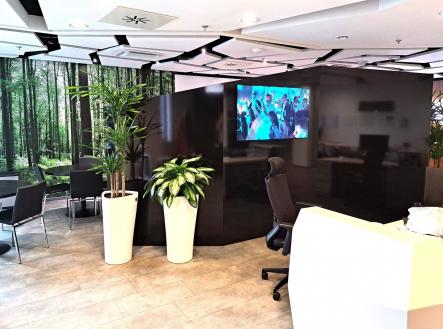 Pronájem kanceláře, 990 m²