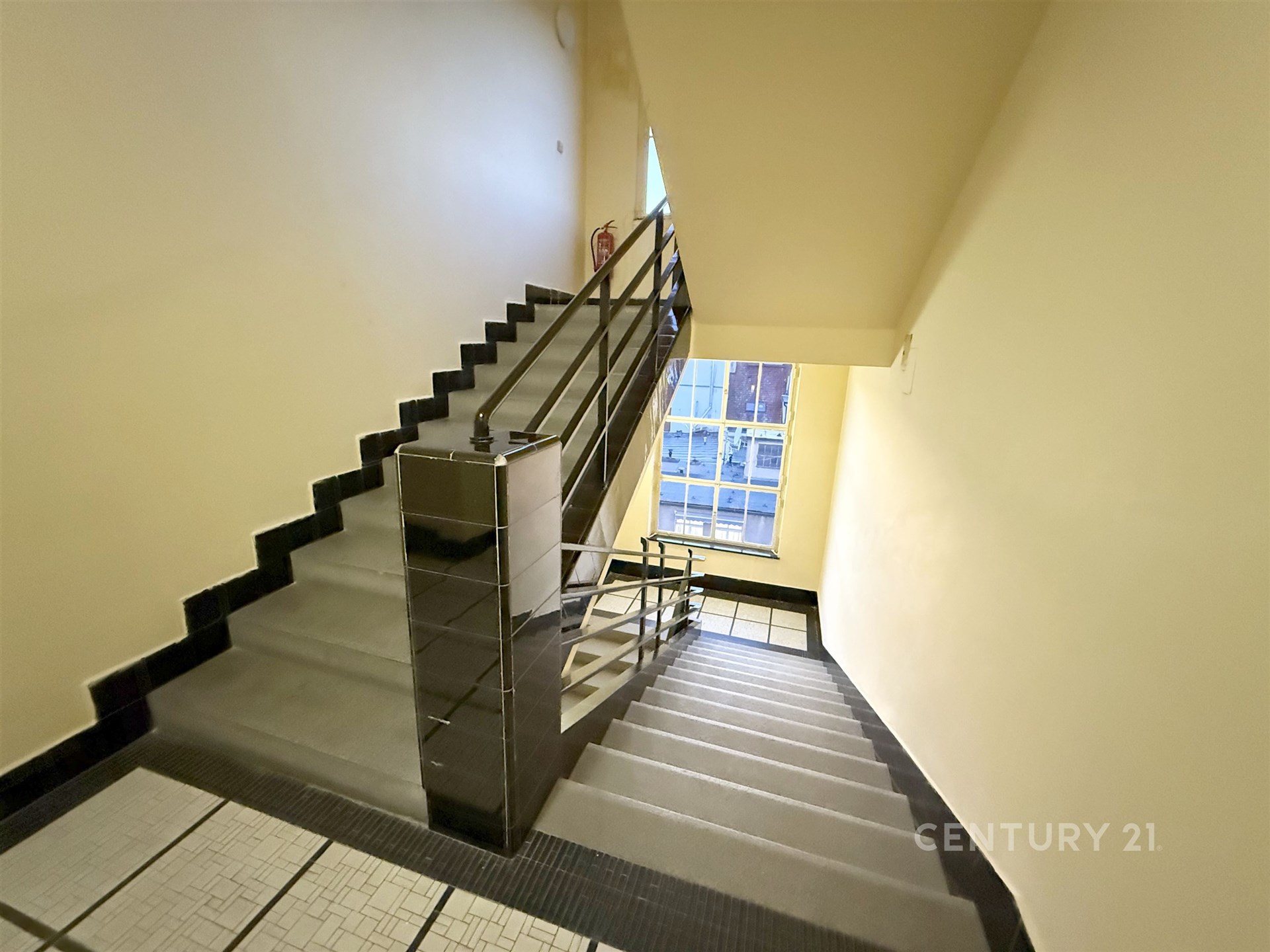 Fotku se nepodařilo načíst.