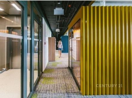 Pronájem kanceláře, 800 m²