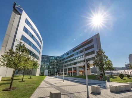 Pronájem kanceláře, 651 m²