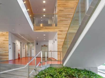 Pronájem kanceláře, 651 m²