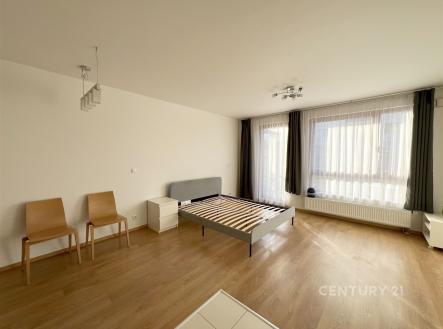 Pronájem bytu, garsoniéra, 40 m²