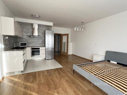 Pronájem bytu, garsoniéra, 40 m²