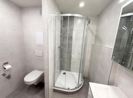 Pronájem bytu, 2+kk, 46 m²