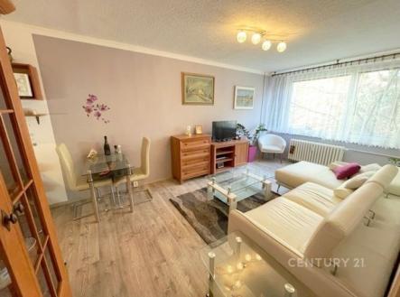 Pronájem bytu, 2+kk, 46 m²