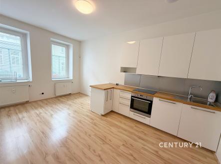Pronájem bytu, 3+kk, 60 m²
