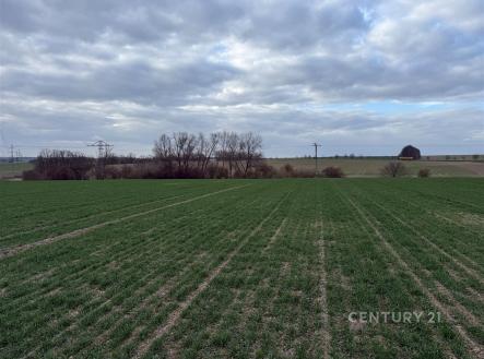 Prodej pozemku, zemědělská půda, 40 767 m²