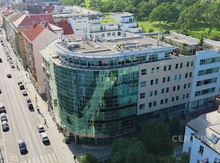 Pronájem kanceláře, 350 m²