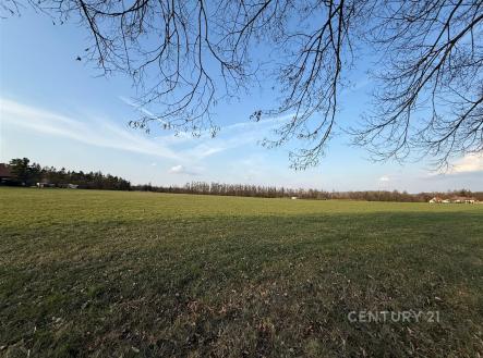 Prodej pozemku pro bydlení, 3 985 m²